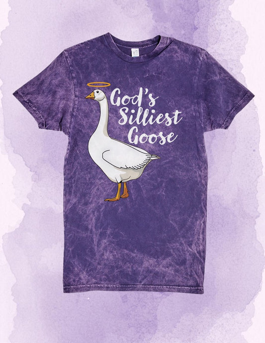 Gods Silliest Goose Tee